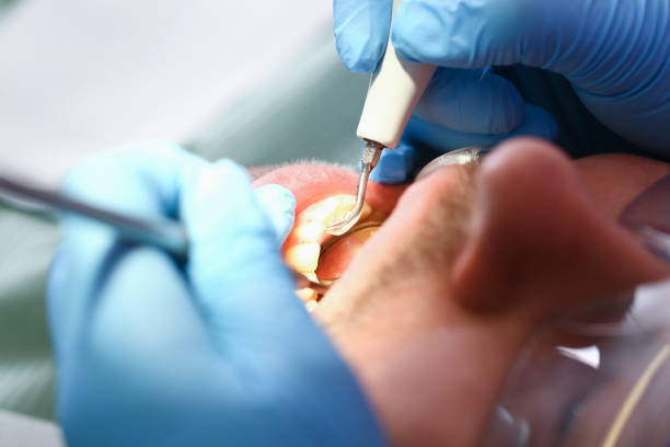 Best Pediatric Emergency Dentist in St Augustine Shores, FL